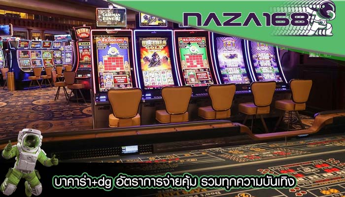 บาคาร่า+dg อัตราการจ่ายคุ้ม รวมทุกความบันเทิง